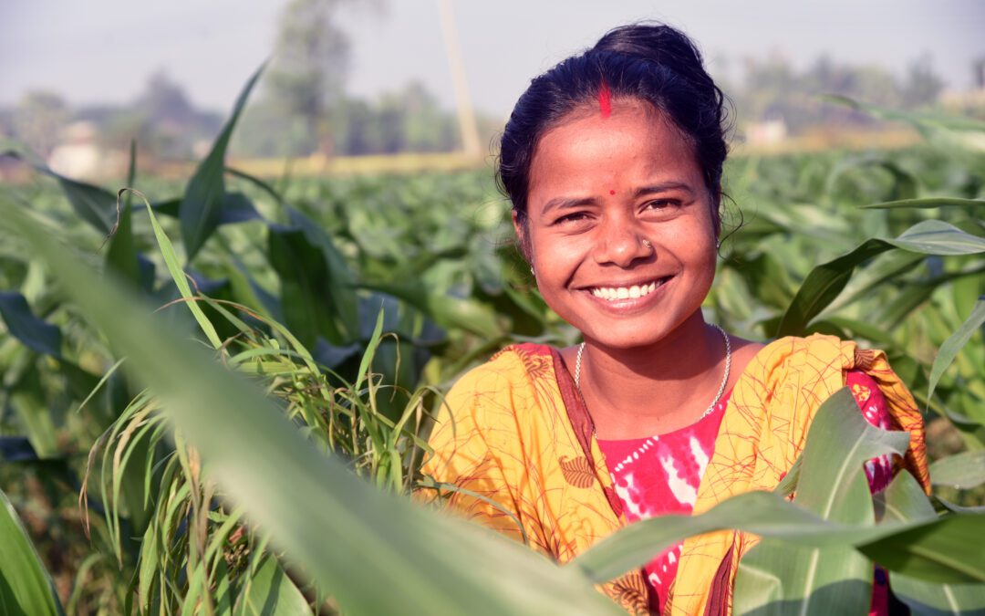 Transforming Agriculture in Bangladesh through Climate-Smart Bed Planting Technology