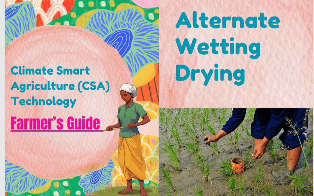 Alternate Wetting Drying