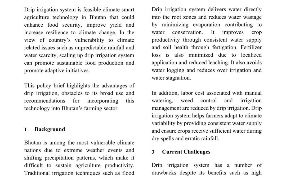 Scaling up Drip Irrigation System in Eastern Bhutan