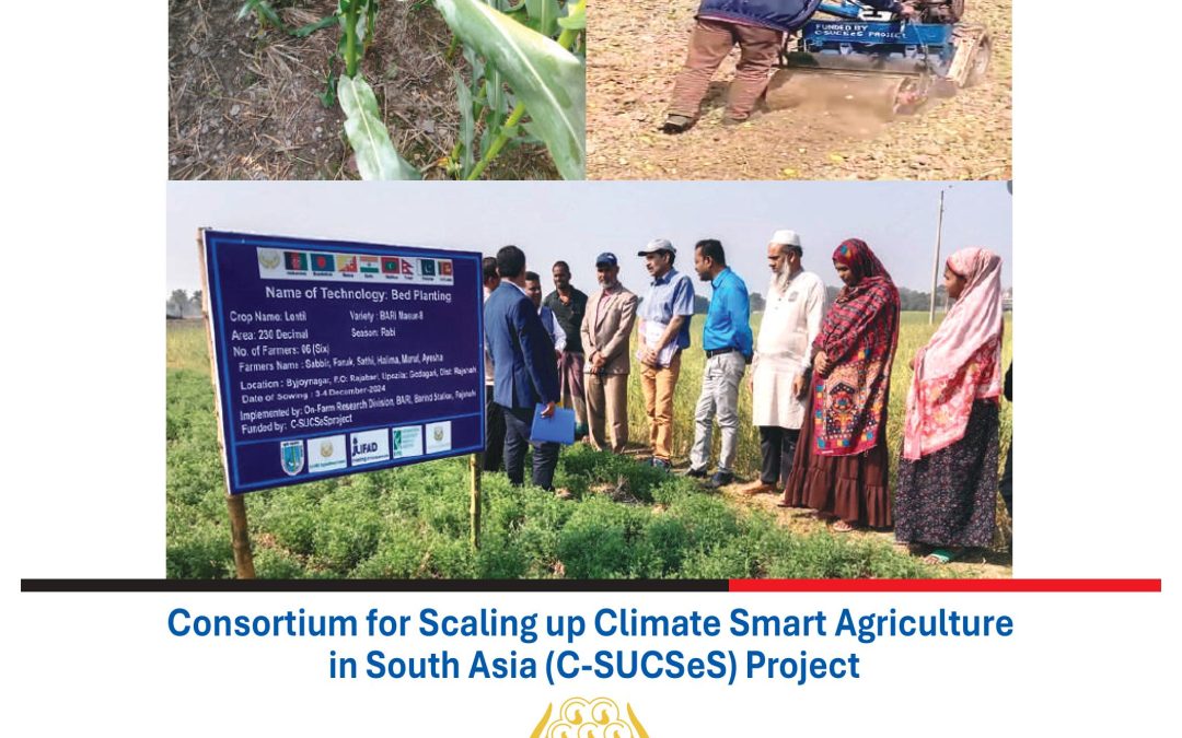 Participatory Report of Bangladesh